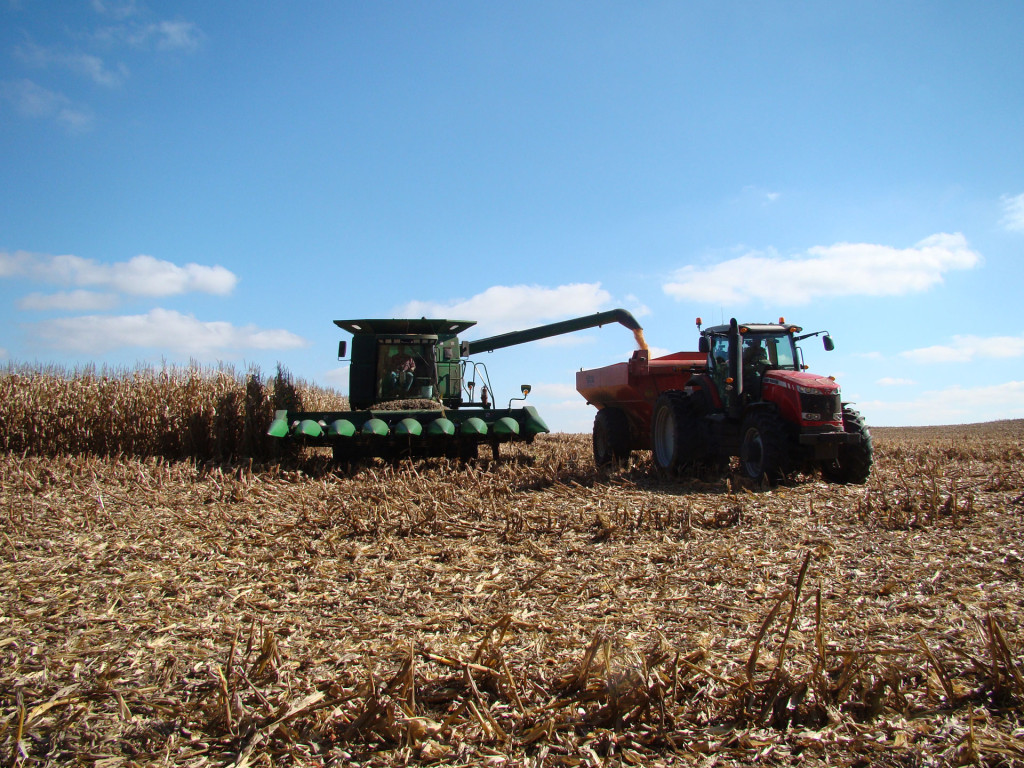Wisconsin Corn Growers to serve on national teams – Wisconsin Corn