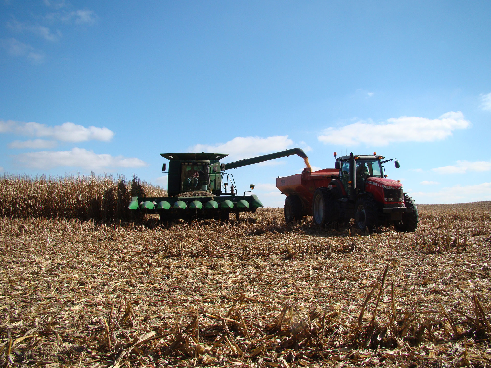 Wisconsin Corn Growers to serve on national teams - Wisconsin Corn
