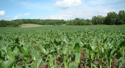 WCGA Opposes EPA Proposed Pesticide Applicator Rule