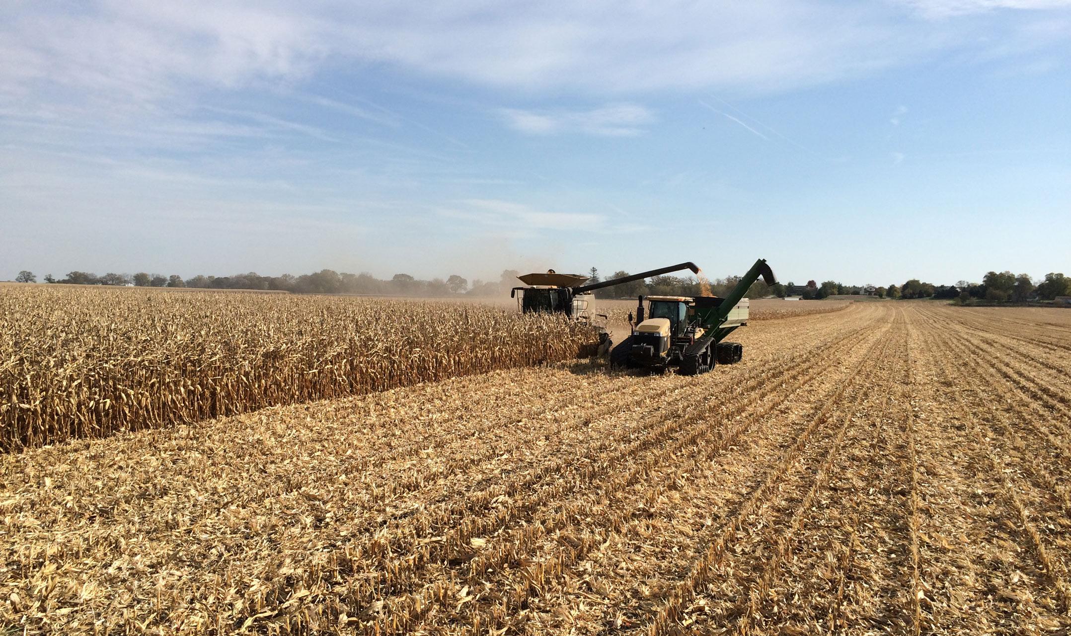 WCGA Announces Winners of 2017 Wisconsin Corn Yield Contest