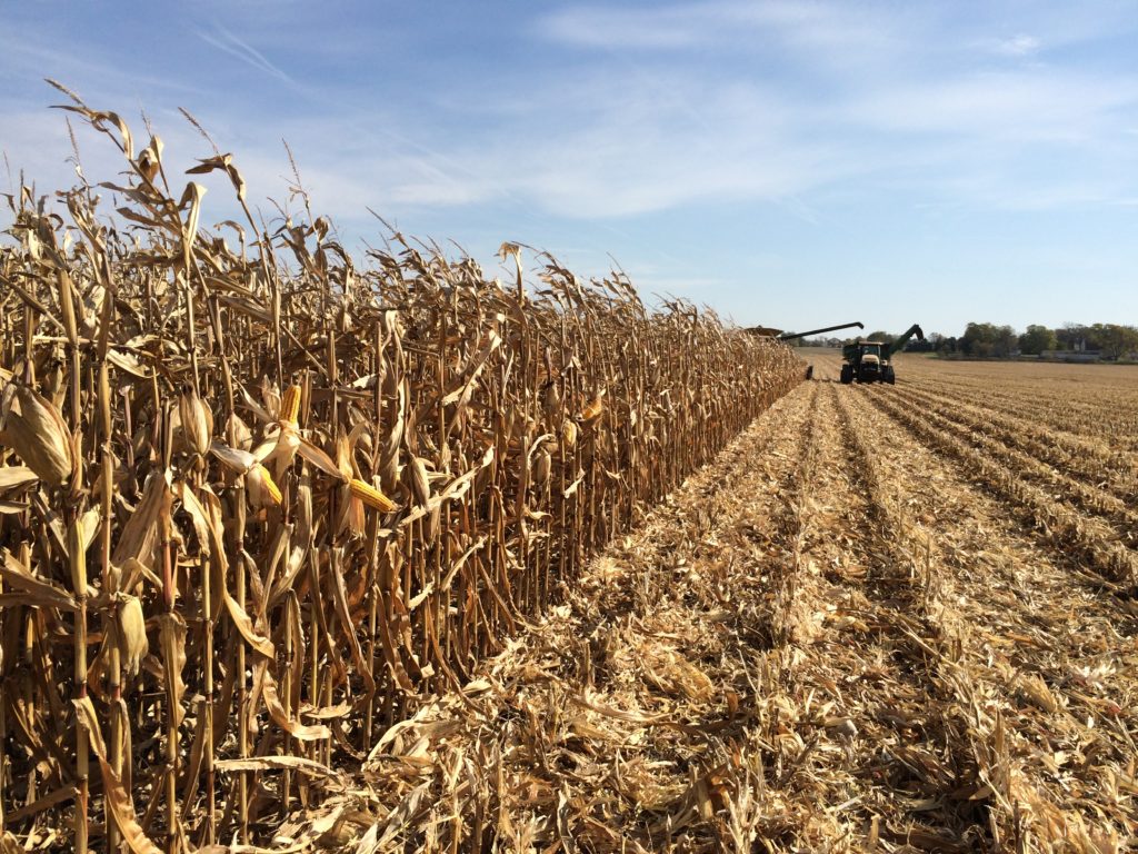 Entries now being accepted for Wisconsin Corn Growers Association’s
