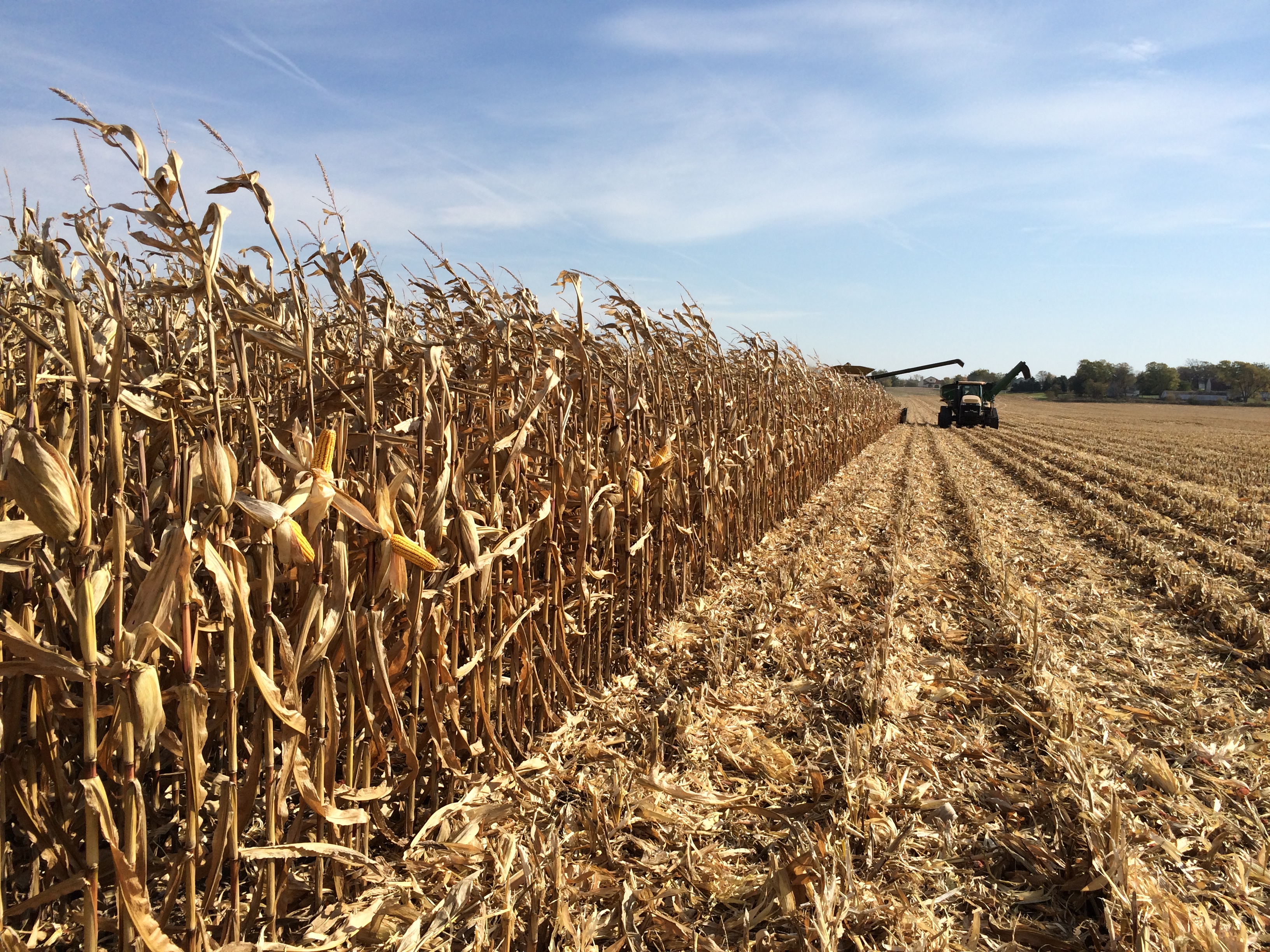 Entries now being accepted for Wisconsin Corn Growers Association’s 2019 Corn Yield Contest