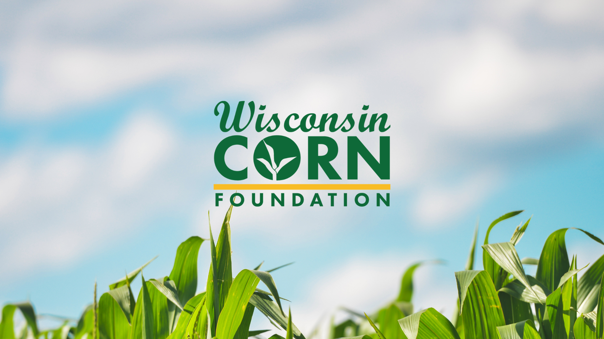 Wisconsin Corn program unveils Wisconsin Corn Foundation, Inc.