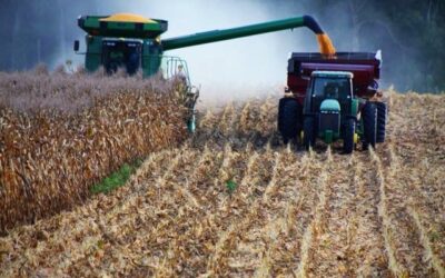 Wisconsin Corn Growers Association announces 2021 Corn Yield Contest winners