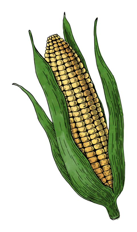 Wisconsin Corn WGCA Serving Wisconsin Corn Growers