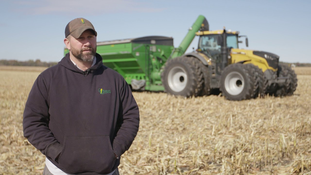 A healthy corn crop helps feed Wisconsin families