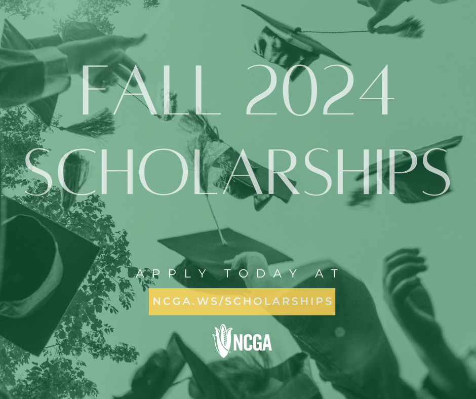 Wisconsin Corn Foundation scholarship application now available