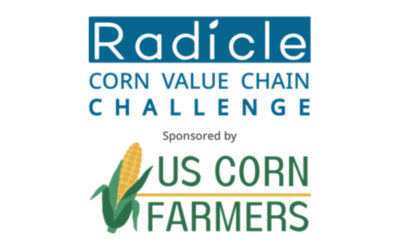 The Radicle Corn Value Chain Challenge