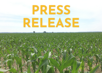 Beukema Joins Wisconsin Corn as Program Manager