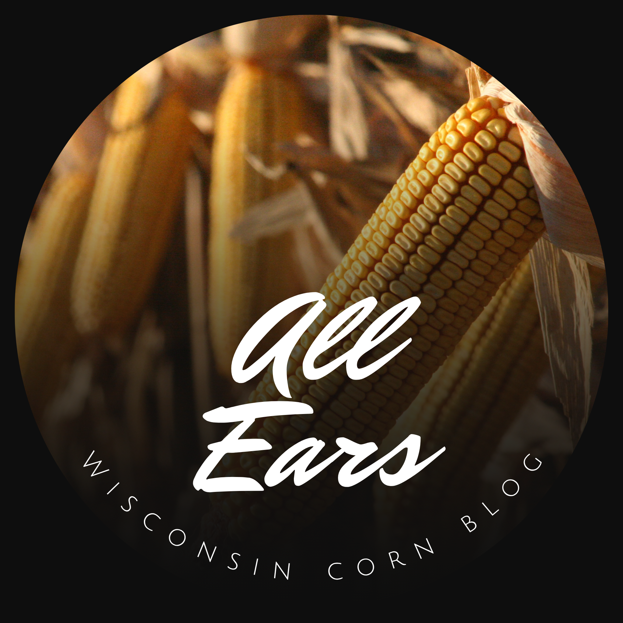 Kernels for Thoughts on Voting